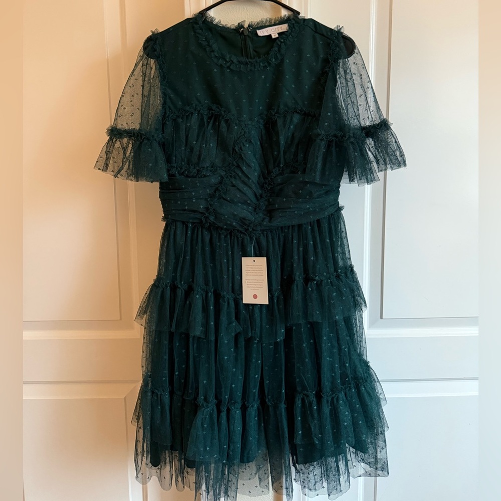 Ivy City Co. Deep Green Whimsical Dress Size M